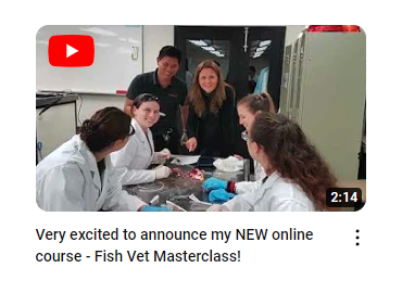 The Fish Vet's Master Class Cource