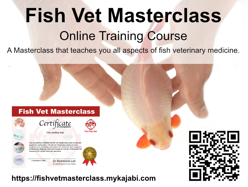 The Fish Vet's Master Class Cource